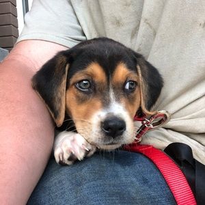 Meet your Posher, Aidan